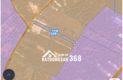  Chủ Ngộp – Cắt Lỗ Sâu 1Tỷ3 lúc mua tới 1ty9– Lô 1004m² (8x126) Tại Bảo Quang, Long Khánh – Đất Đẹp, Sổ Rõ Ràng – Không Thương Lượng!